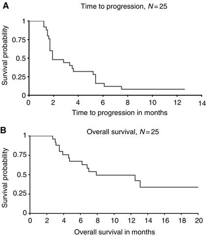 Figure 1: Kaplan–Meier estimates of (A) time to progression and (B) overall survival for all enrolled patients (n=25).