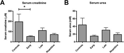 Figure 1: The effect of ARA290 on markers of renal function. Early ARA290 treatment significantly reduced serum creatinine levels at three days post-r