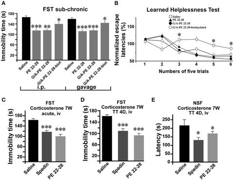 Figure 5: Behavior of spadin-analogs in mouse model of depression. (A) FST performed after a sub-chronic (4 days) treatment (3.0–4.0 μg/kg) with each 