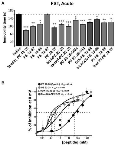 Figure 3: FST and dose-response curves of TREK-1 current inhibition by spadin-analogs. (A) Peptides able to inhibit TREK-1 channel activity were teste