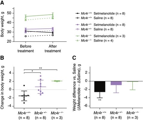 Figure 3: Effect of Setmelanotide administration in mice lacking Mc4r.Mc4r+/+, +/−, and −/− mice were infused with 1200 nmol/kg/day of Setmelanotide, 
