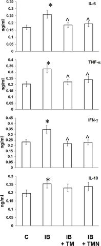 Fig 2: Plasma cytokine levels in mice with inflammation treated with free or PBCA nanoparticle-bound thymulin.Four groups were included: untreated 