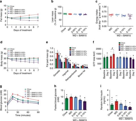 Fig. 3: BAM15 prevents diet-induced fat gain and glucose intolerance.a–d Mice fed a chow diet or WD ± BAM15 at doses of 0.05, 0.10, and 0.15% were e