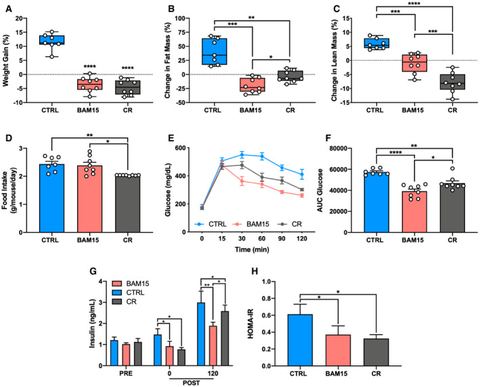 Figure 5: BAM15 improves body composition and glycemic control independent of weight loss in C57BL/6J mice. BAM15 improves body composition and glycem