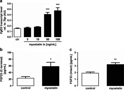 Fig. 2: Myostatin induces Fgf23 expression in UMR106 cells, a Arithmetic means ± SEM of relative (rel.) Fgf23 mRNA abundance or b C-terminal or c in