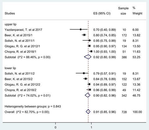 Figure 3: Estimate of rate of responders at 2 months after treatment for the upper and lower lips. Overall, 92% (95% CI: 80–99%) a