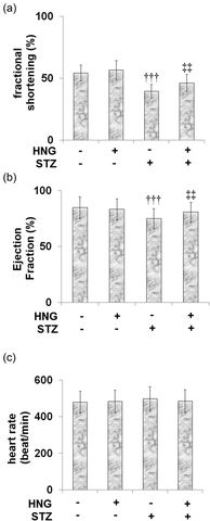 Figure 3.: Protective effects of S14G-humanin on heart function. The mice heart function was measured by Echo. (a) Fractional shortening;(b) Ejection F