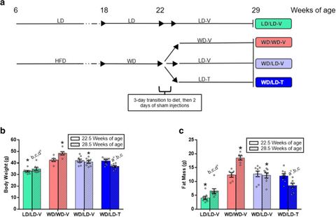 Figure 1: Diet and NNMTi treatment status substantially altered body weight and fat mass. a After weaning, mice were placed on a high-fat diet (HFD, 6