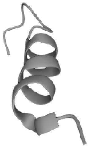 Figure 1: Humanin molecule, whose sequence is: Met-Ala-Pro-Arg-Gly-Phe-Ser-Cys-Leu-Leu-Leu-Leu-Thr-Ser-Glu-Ile-Asp-Leu-Pro-Val-Lys