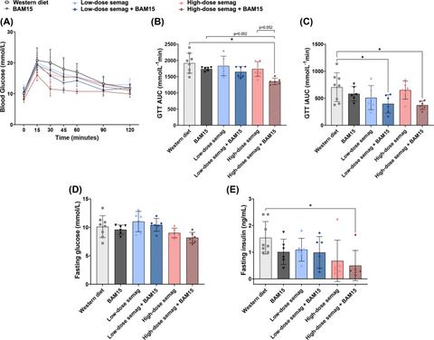 Figure 4: High-dose semaglutide combined with BAM15 caused the greatest improvement in glucose homeostasisGlucose tolerance curves (A), total area und