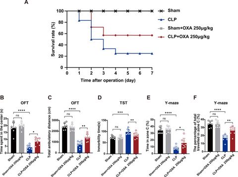 Fig. 2: Treatment with 250 µg/kg OXA increases 7-day survival and ameliorates cognitive and affective deficits in CLP-induced sepsis. A Survival cur