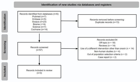 Figure 1: Flowchart of the steps that were performed in the systematic review for the identification, screening, and inclusion of 