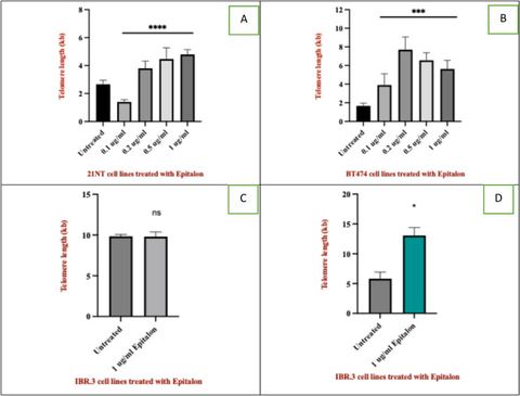 Fig. 1: Telomere length of breast cancer cells and normal cells treated with epitalon. A 21NT cells B BT474 cells. Both cells were treated for 4 day