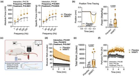 FIGURE 5: NNMT inhibition significantly improves muscle strength, power, and total work in male mice with experimental PAD. (a) Absolute and specific 