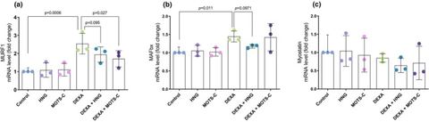 FIGURE 2: mRNA levels of MURF1 (a), MAFbx (b), and myostatin (c). Primary human skeletal muscle myotubes were treated with vehicle (Control), 10 μM S1