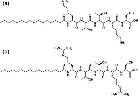 SCHEME 1: Molecular structures for (a) C16‐KTTKS and (b) C16‐RTTRS.
